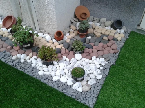 Pebbles-with-Sccculent