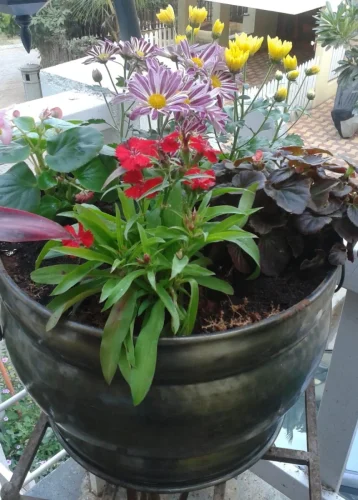 WhatsApp-Image-2025-10-10-at-22.04.25 ca8132f0