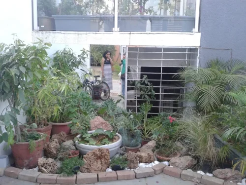 WhatsApp-Image-2025-10-10-at-22.05.00 f3347b0a