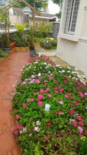 WhatsApp-Image-2025-10-10-at-22.08.35 2c5635a9